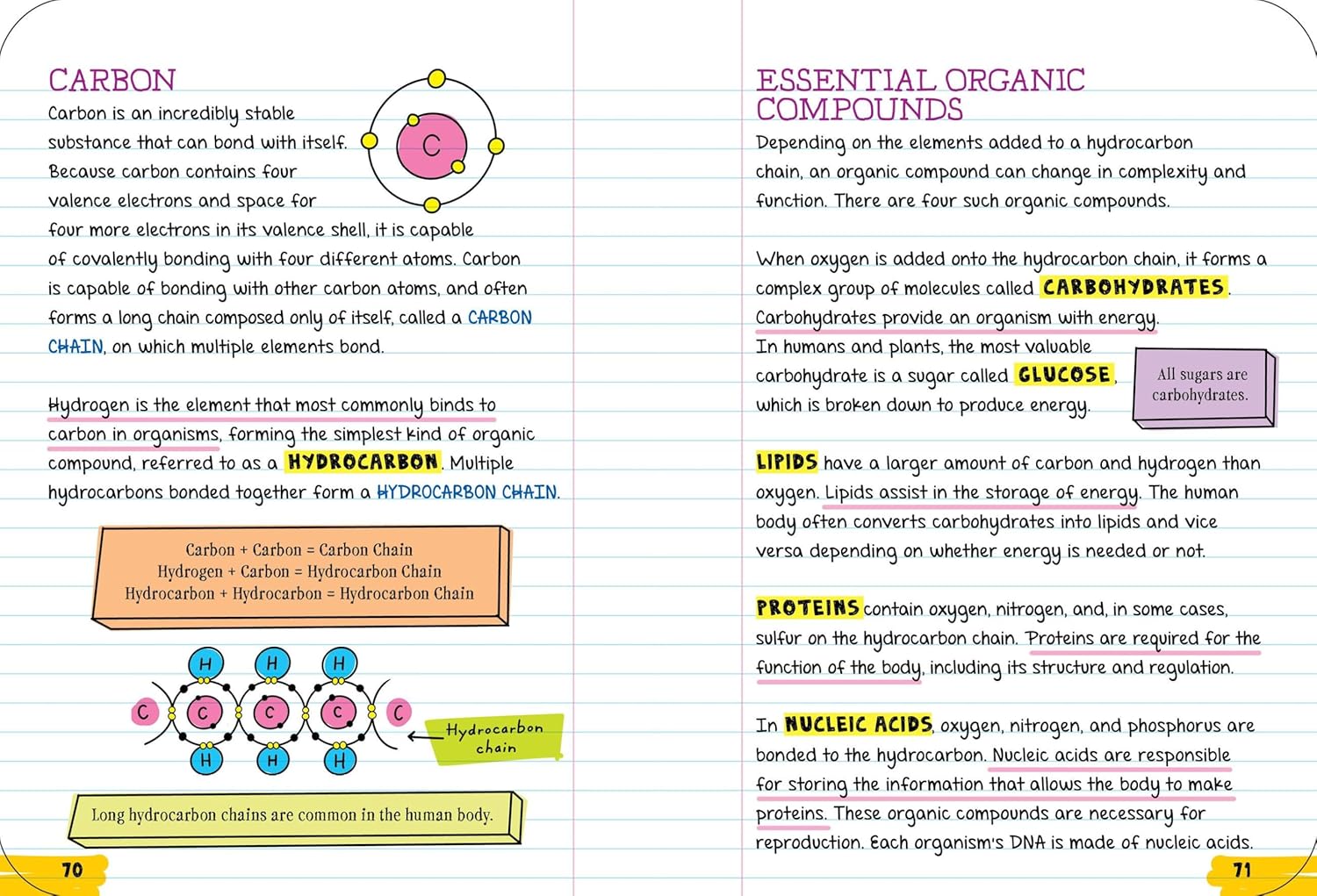 Everything You Need to Ace Biology in One Big Fat Notebook Paperback – 2021年 4月 27日:圖片 3
