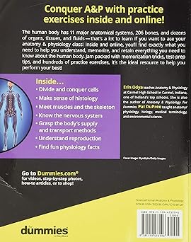 Anatomy & Physiology Workbook For Dummies with Online Practice 3rd 版本:圖片 2